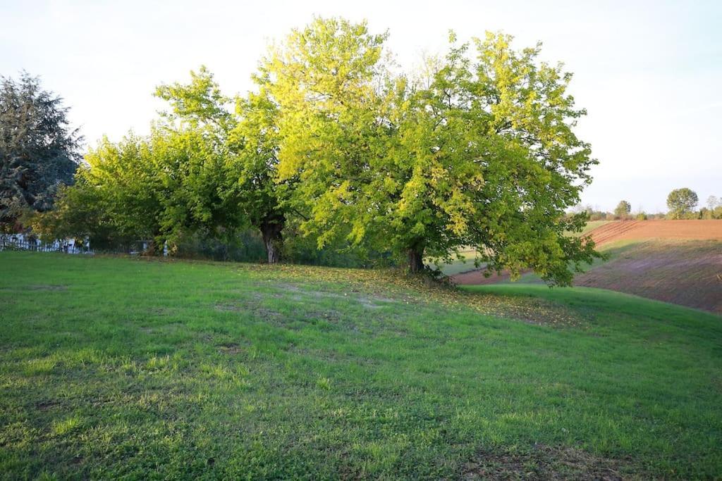Villa Beatrice Pralormo Exterior photo